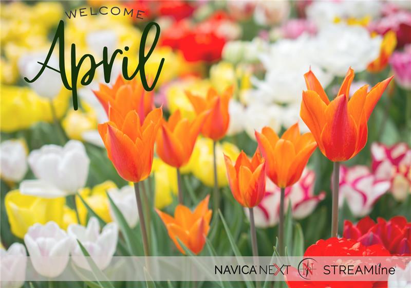 Navica Web Solutions